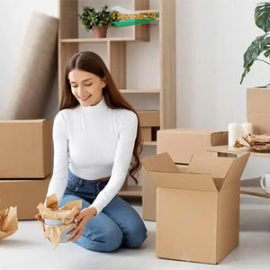 Principles-of-packaging-fragile-goods